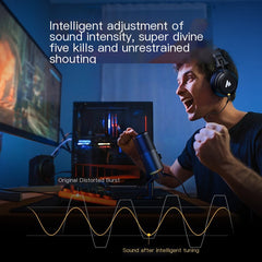 DM30 Gaming Microphone with Noise Reduction