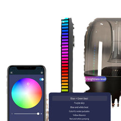 RGB Sound Control Music Pickup Light
